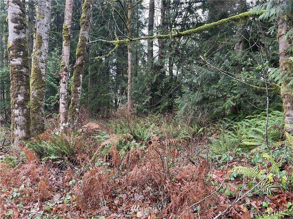 0 Friar Creek Rd - Photo 1