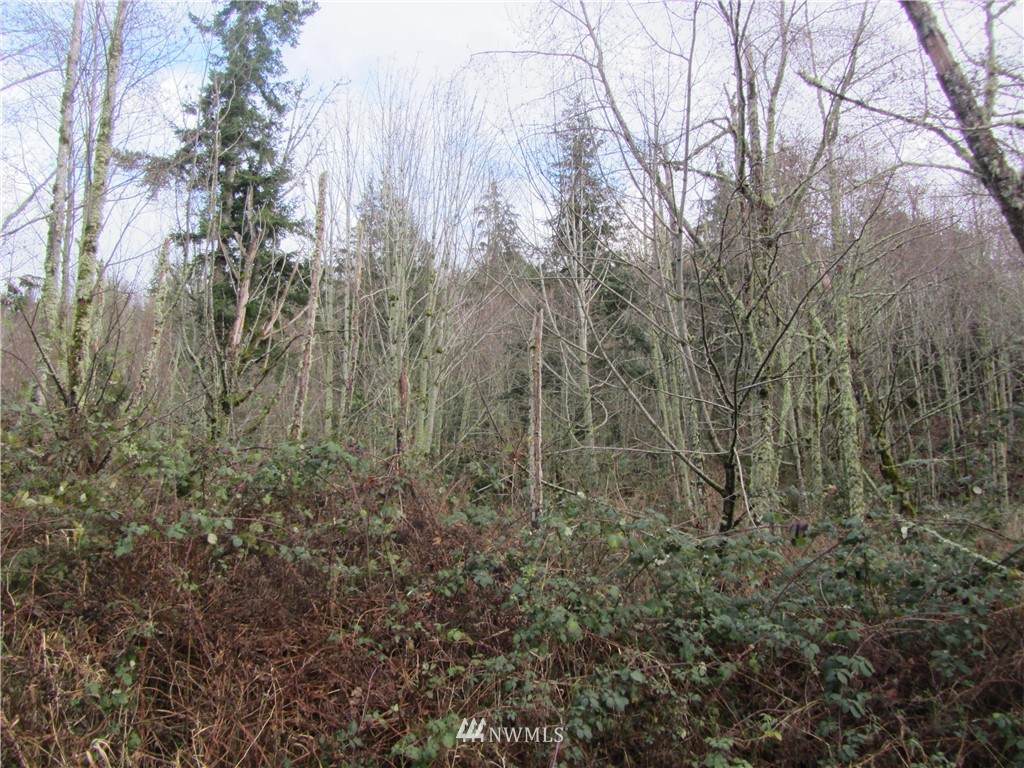 0 XXX Longeets Lane - Photo 1