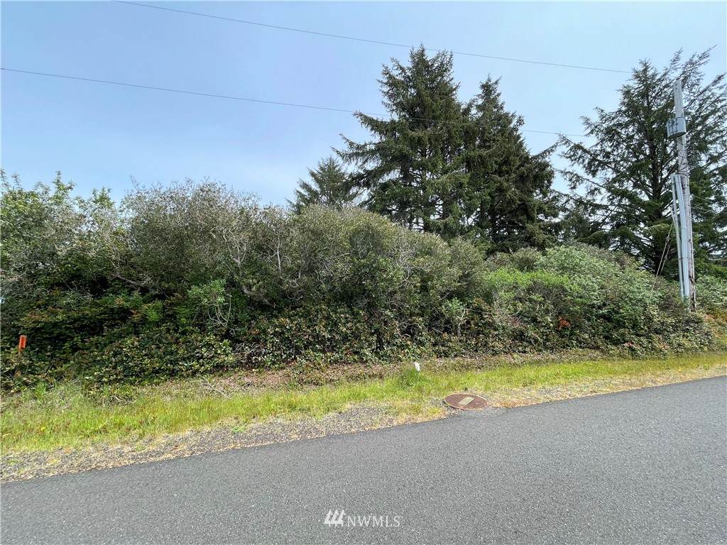 233 Razor Clam Drive - Photo 1