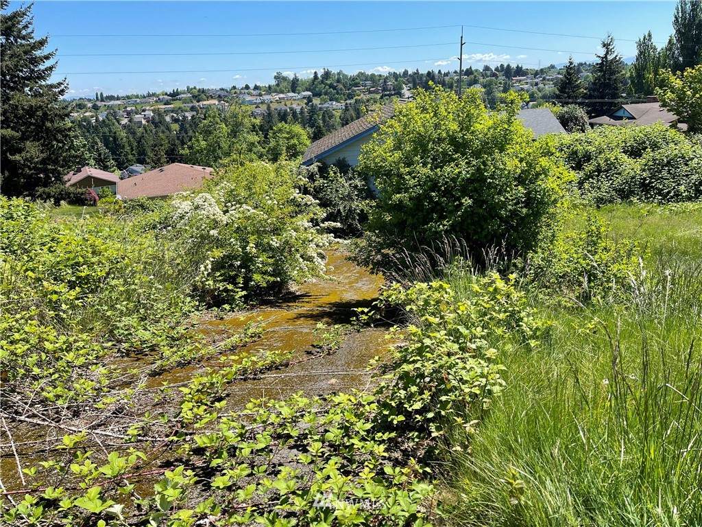 3309 Shorecliff Drive - Photo 1