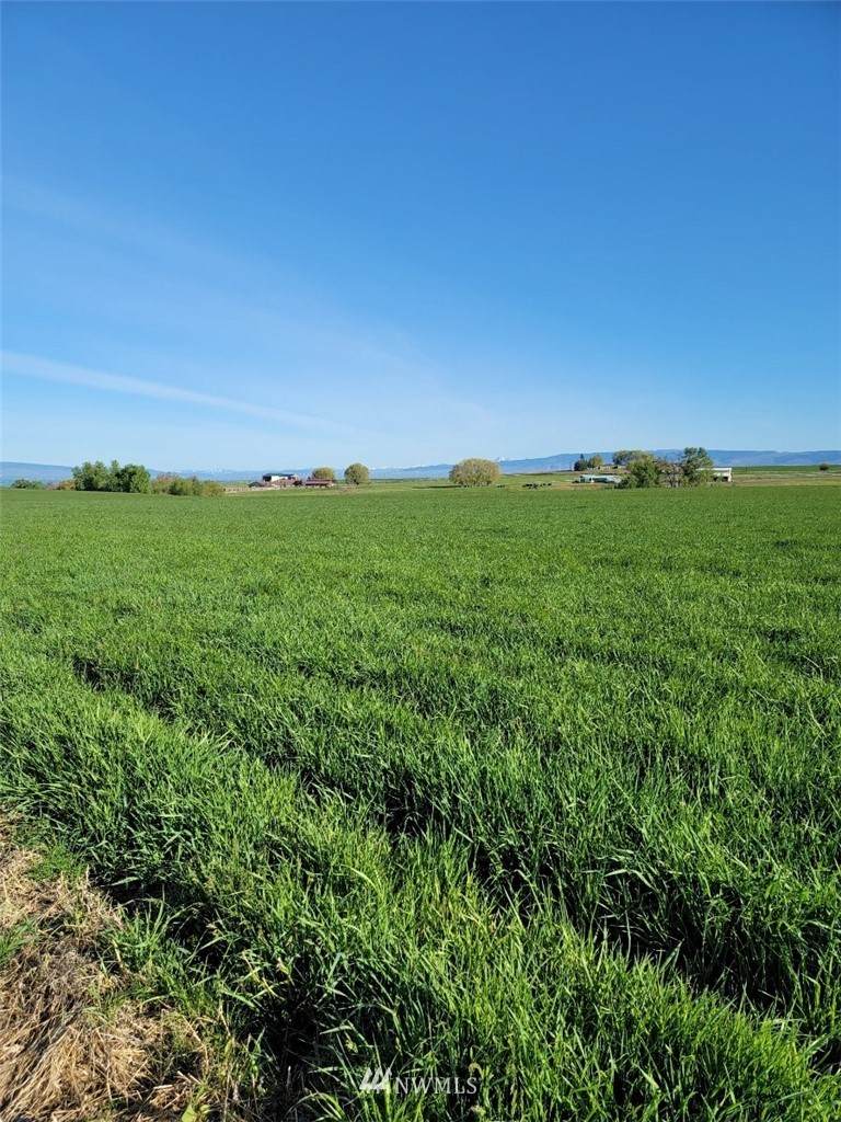 10711 XX Upper Badger Pocket Road - Photo 1