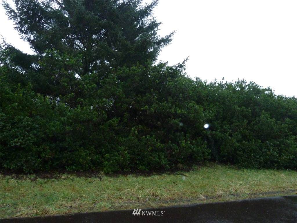 457 Ocean Spray Street - Photo 1