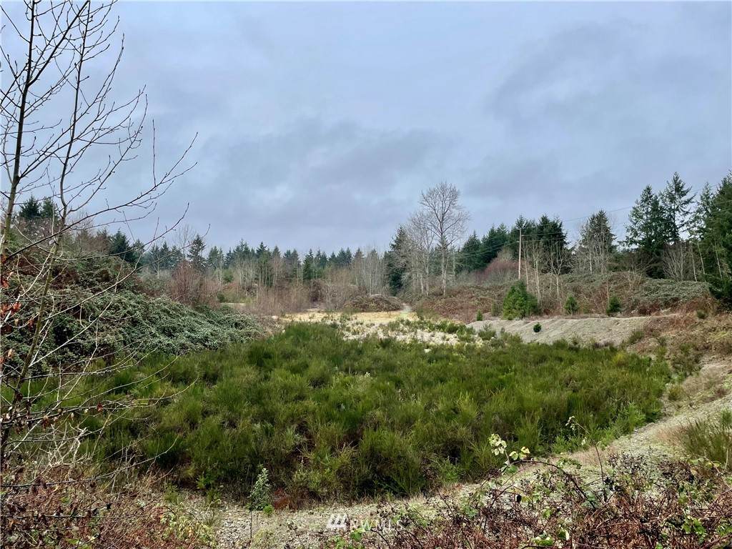 9520 Steilacoom Road - Photo 1