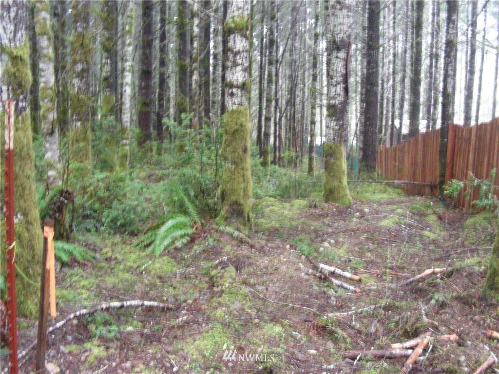 42 Elaine Place - Photo 1