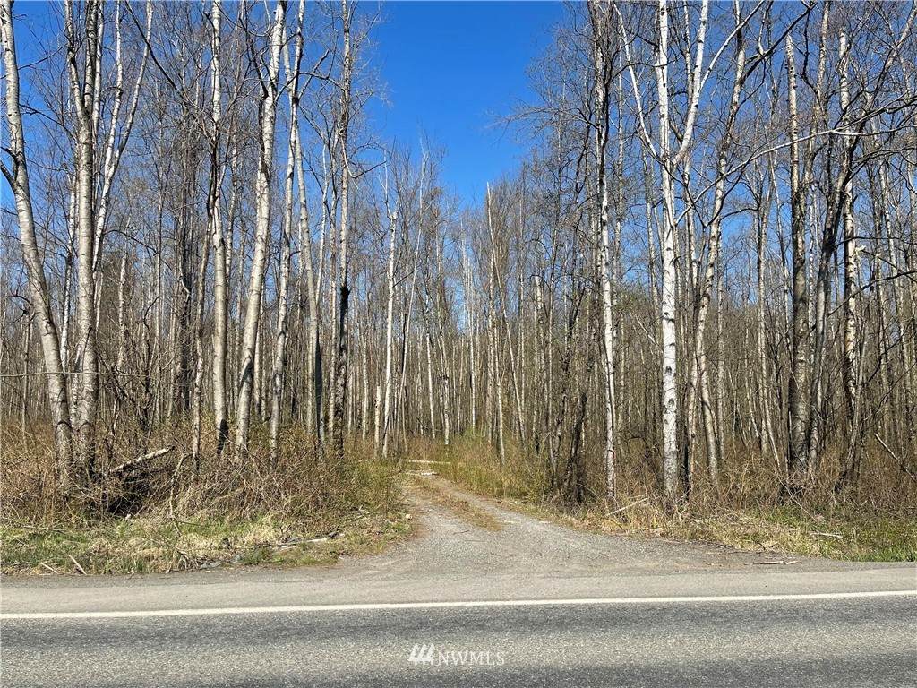 3054 Birch Bay Lynden Road - Photo 1