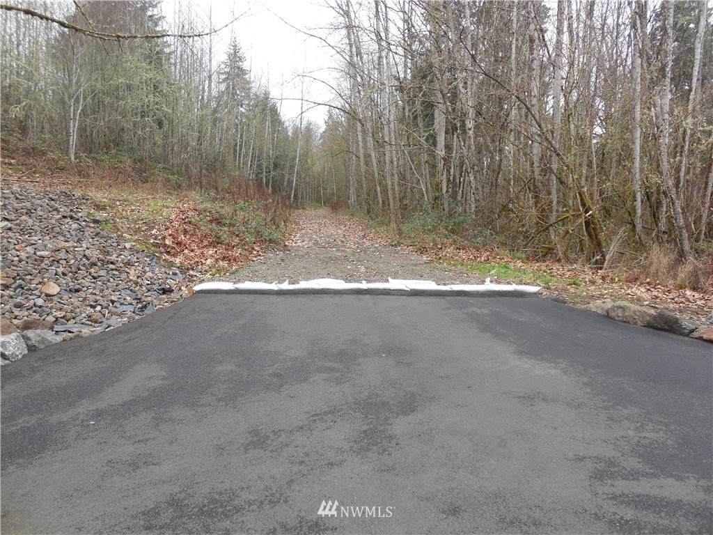 318 Martins Bluff Road - Photo 1