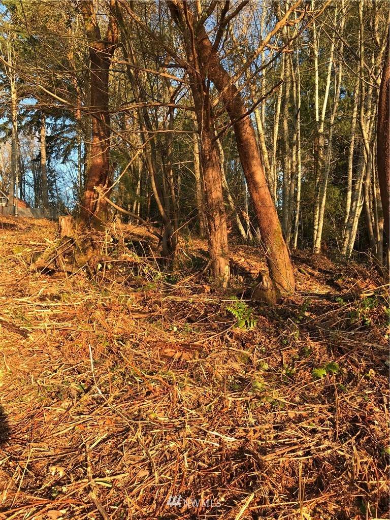 0 xxx Midway Lane - Photo 1