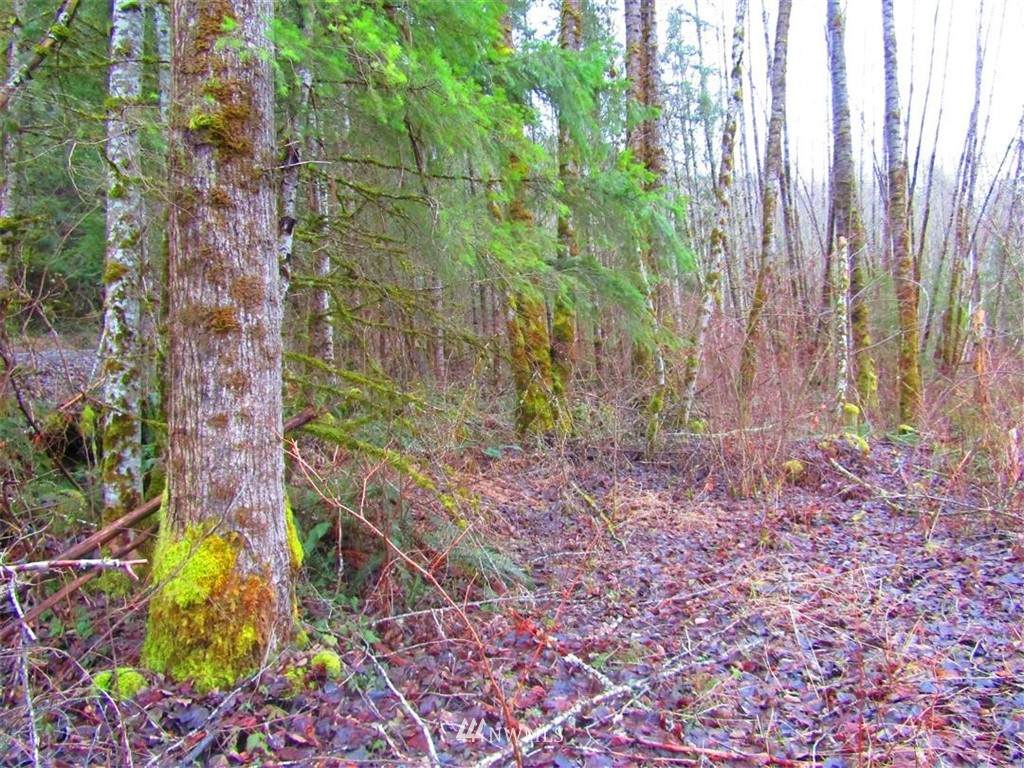 0 0 Mineral Hill Road - Photo 1