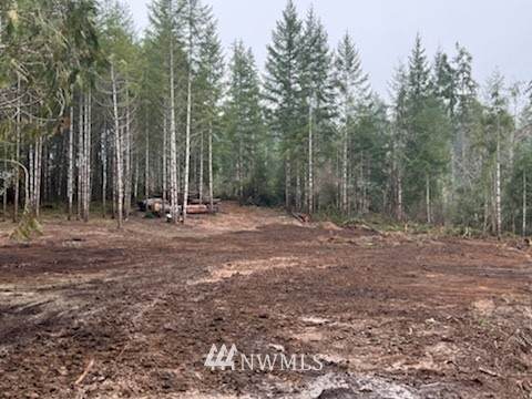 239 Clay Road - Photo 1