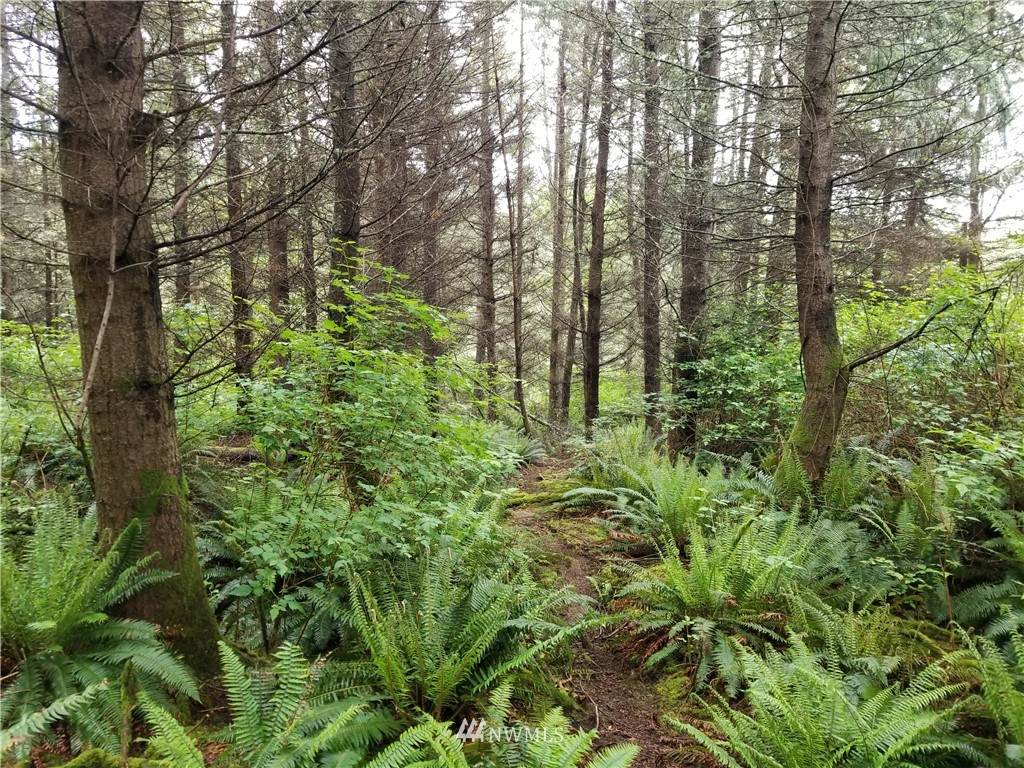 3400 Saratoga Ridge Road - Photo 1