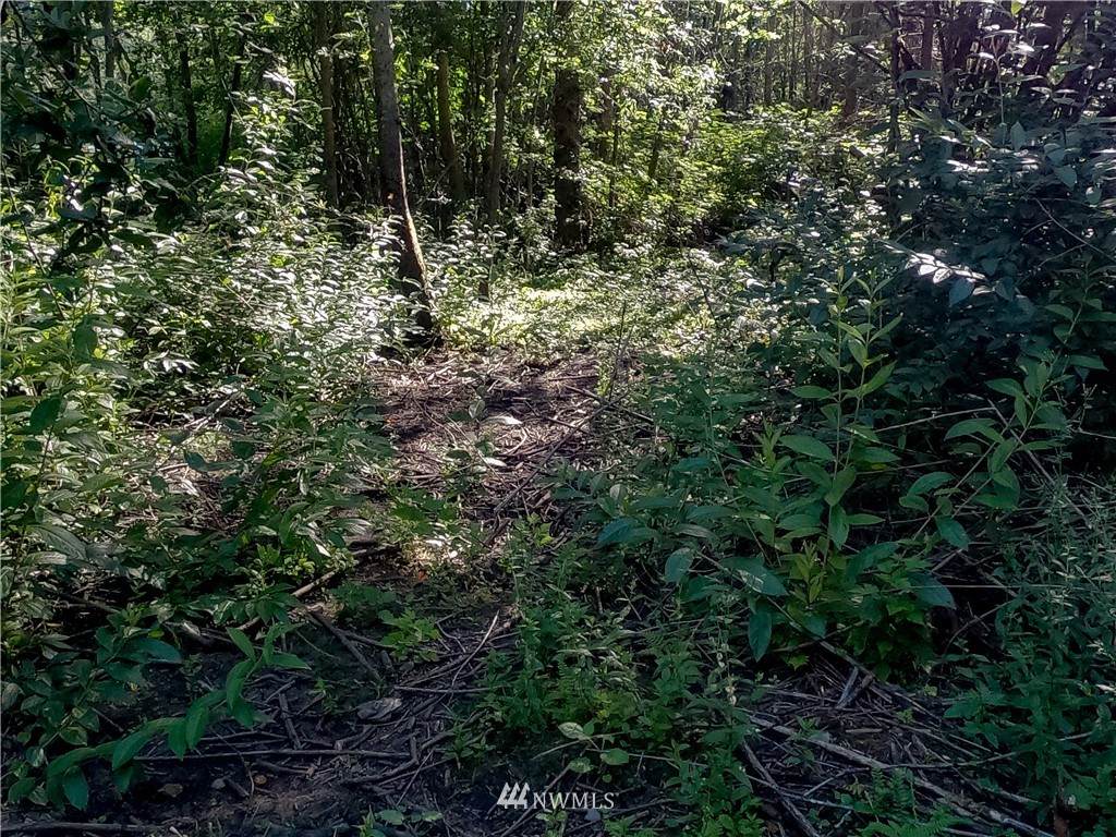 37 xx Military Road - Photo 1