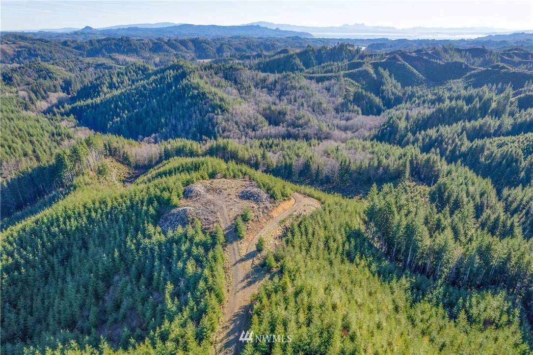 0 Salmon Creek Road - Photo 1