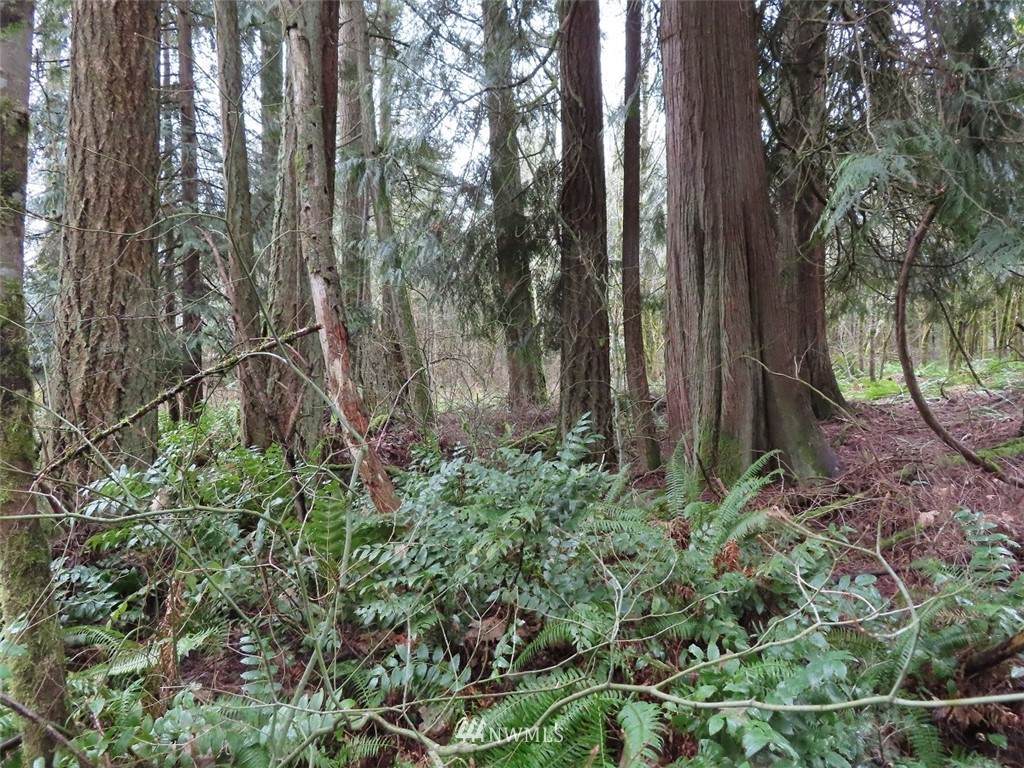 0 XXX Rayburn Road - Photo 1