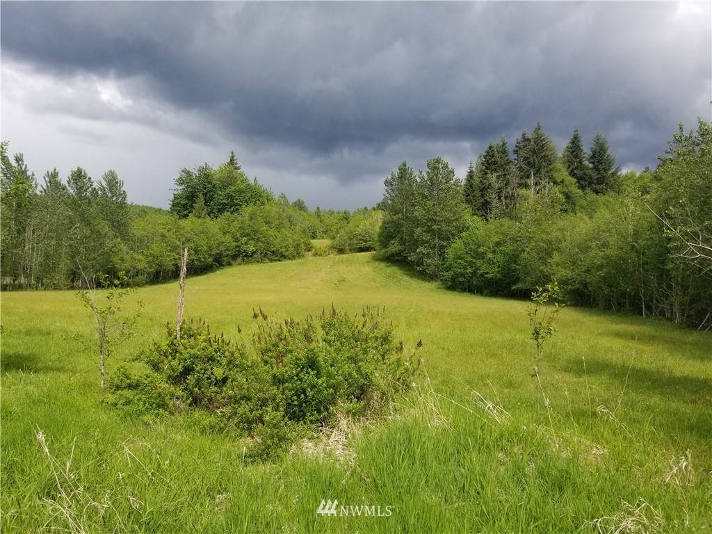 125 Hill Creek Road - Photo 1