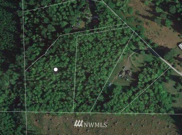 31002 Bumgarner Road - Photo 1