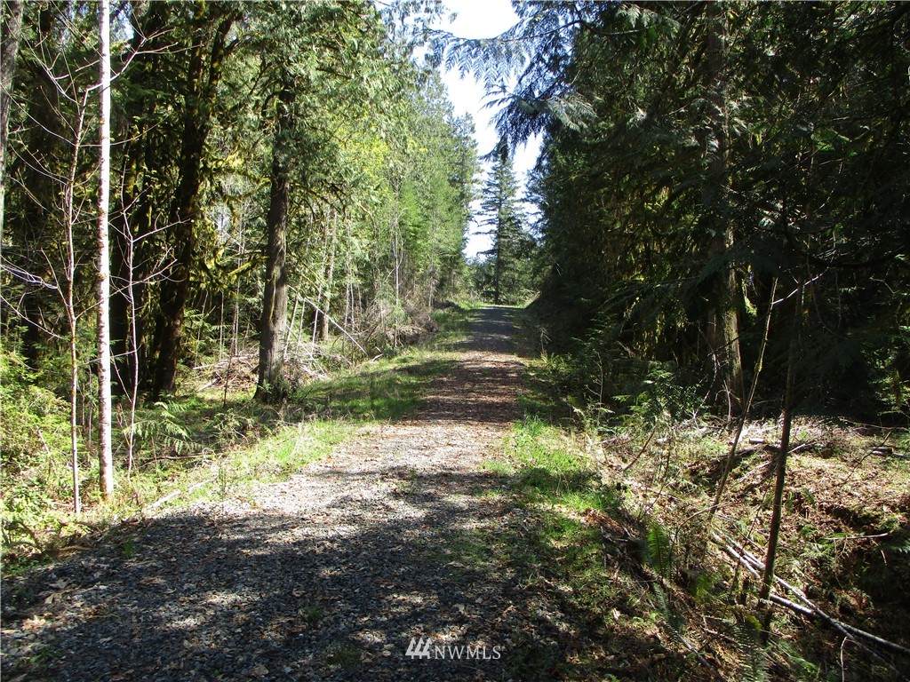 230 Douglas Fir Lane - Photo 1