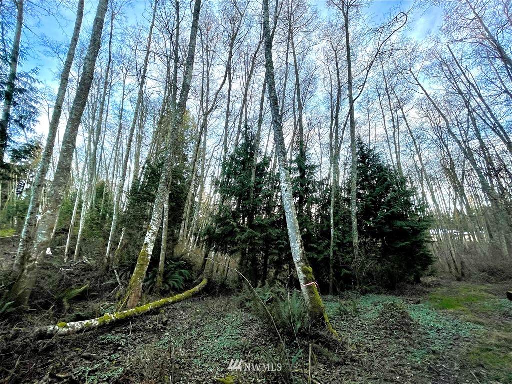 38941 Sherlind Drive - Photo 1
