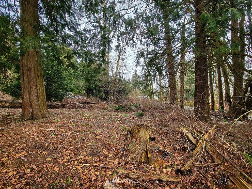 3617 Galiano Drive - Photo 1