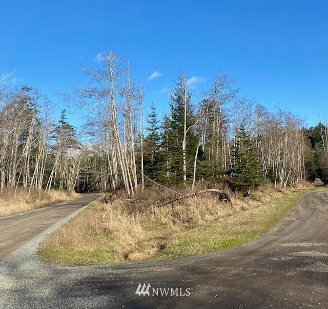 0 Decatur Head Drive - Photo 1