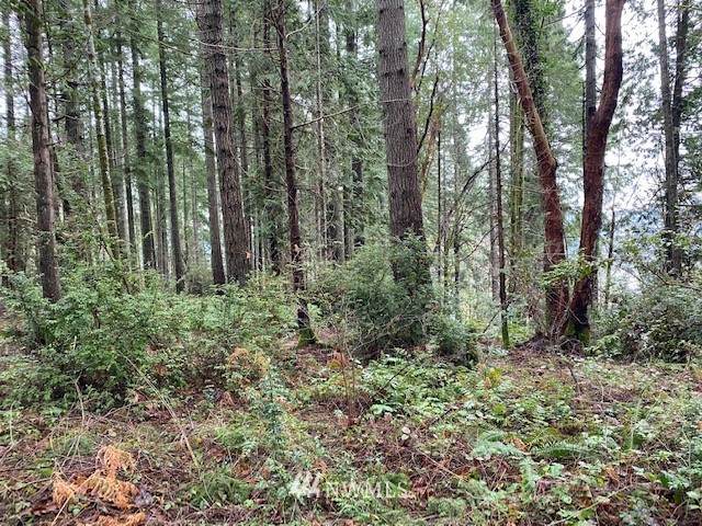 111 Hazel Road - Photo 1
