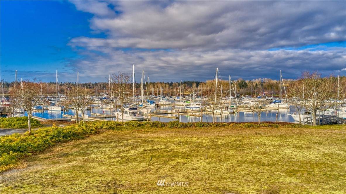0 Harbor Seal Drive - Photo 1