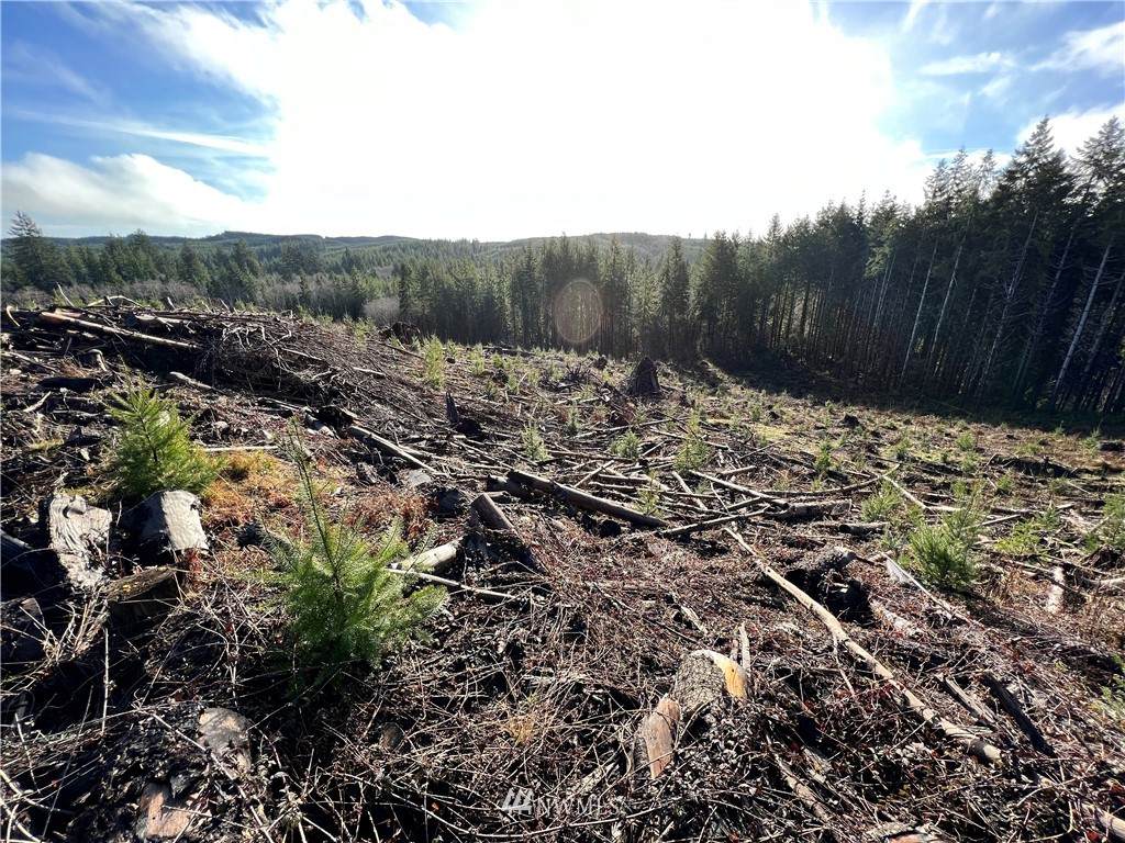 0 Hwy 101 - Photo 1