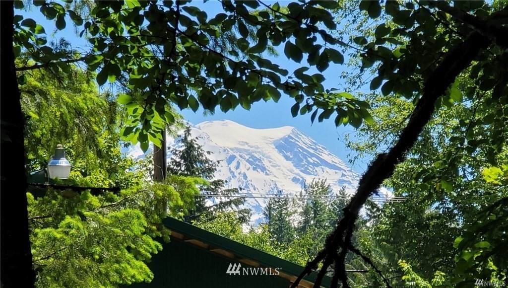 24202 Orting Kapowsin Highway - Photo 1