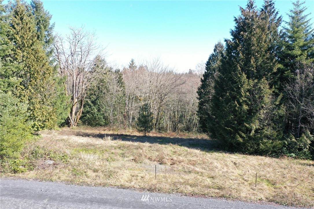 115 Kodiak Lane - Photo 1