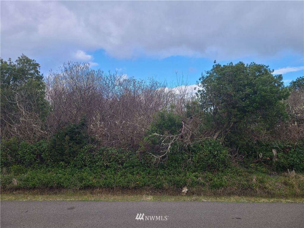 198 Wynoochee Drive - Photo 1