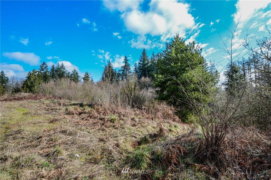 64 XX 338th Street - Photo 1