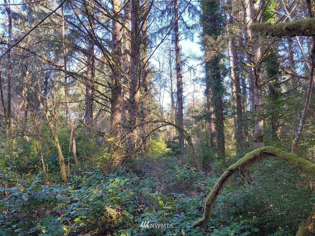 0 Stackpole - Photo 1