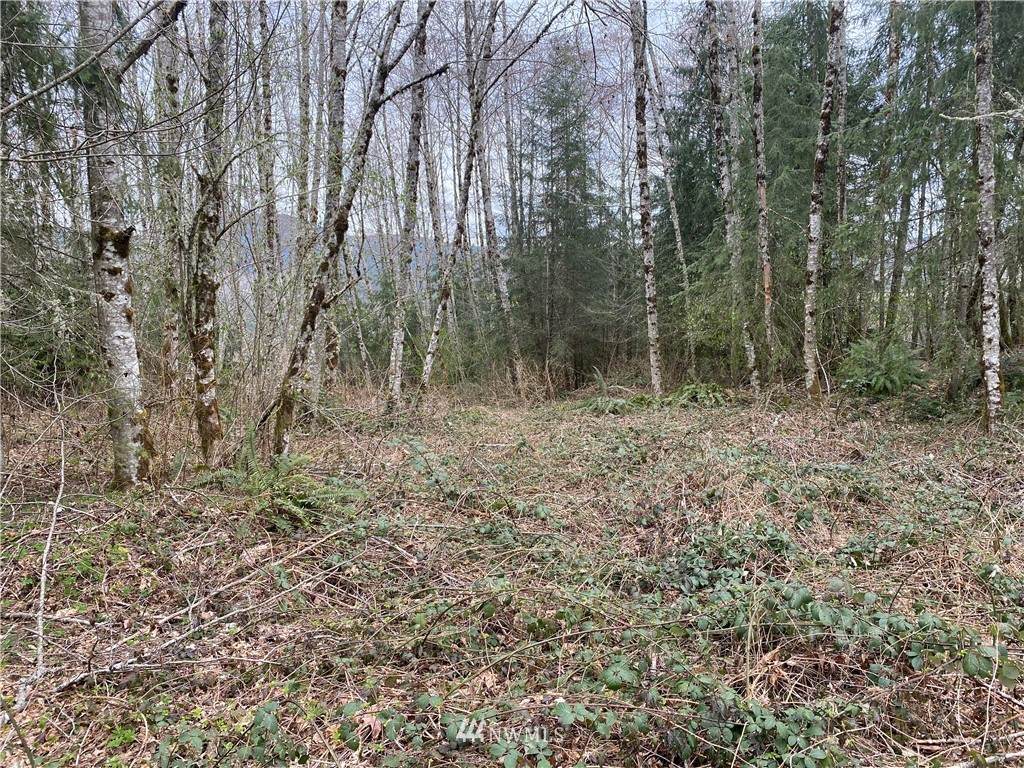 0 Remington Drive - Photo 1