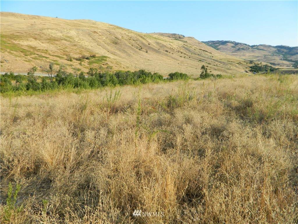 111 Tbd Pine Creek Rd - Photo 1