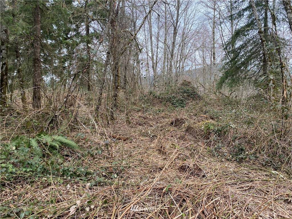 0 Remington Drive - Photo 1