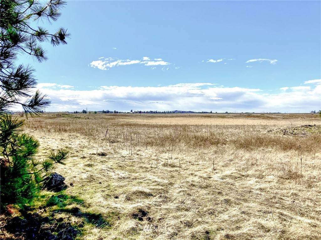 0 X Ritchey Rd Land - Photo 1