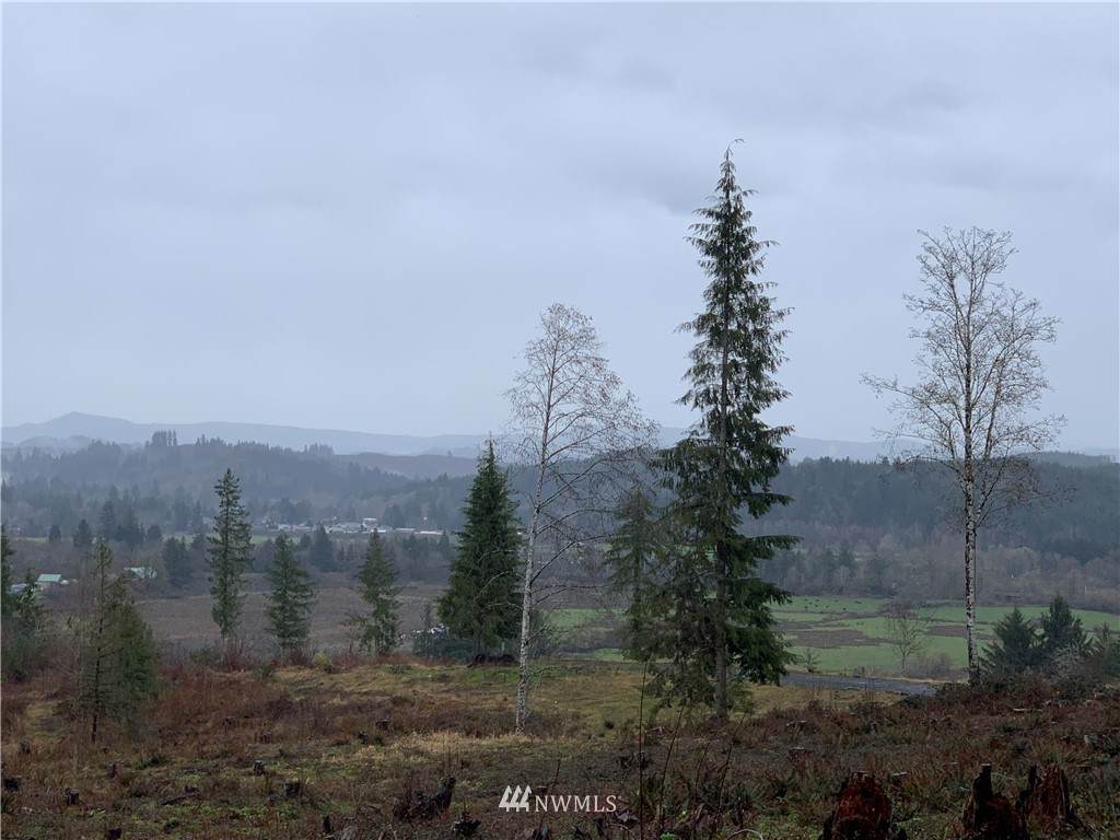 1905 Nelson Road - Photo 1