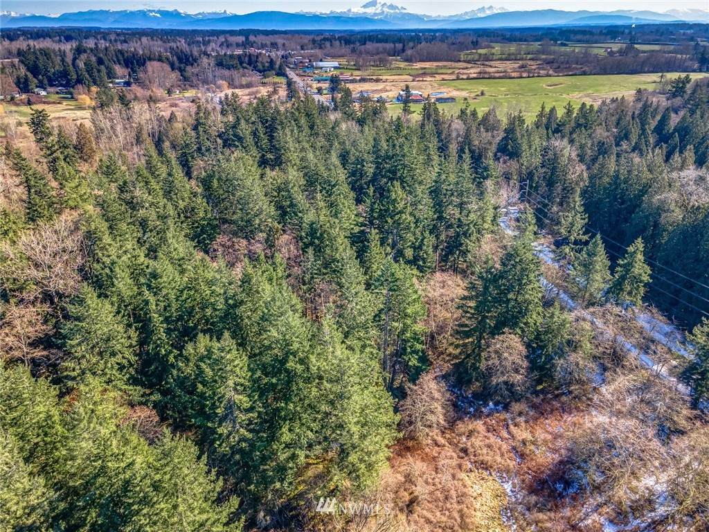 3760 Birch Bay Lynden Road - Photo 1