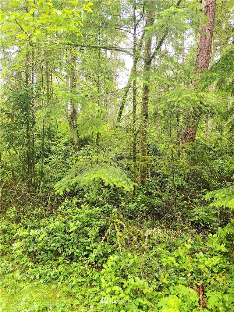 9011 Eckenstam Johnson Road - Photo 1