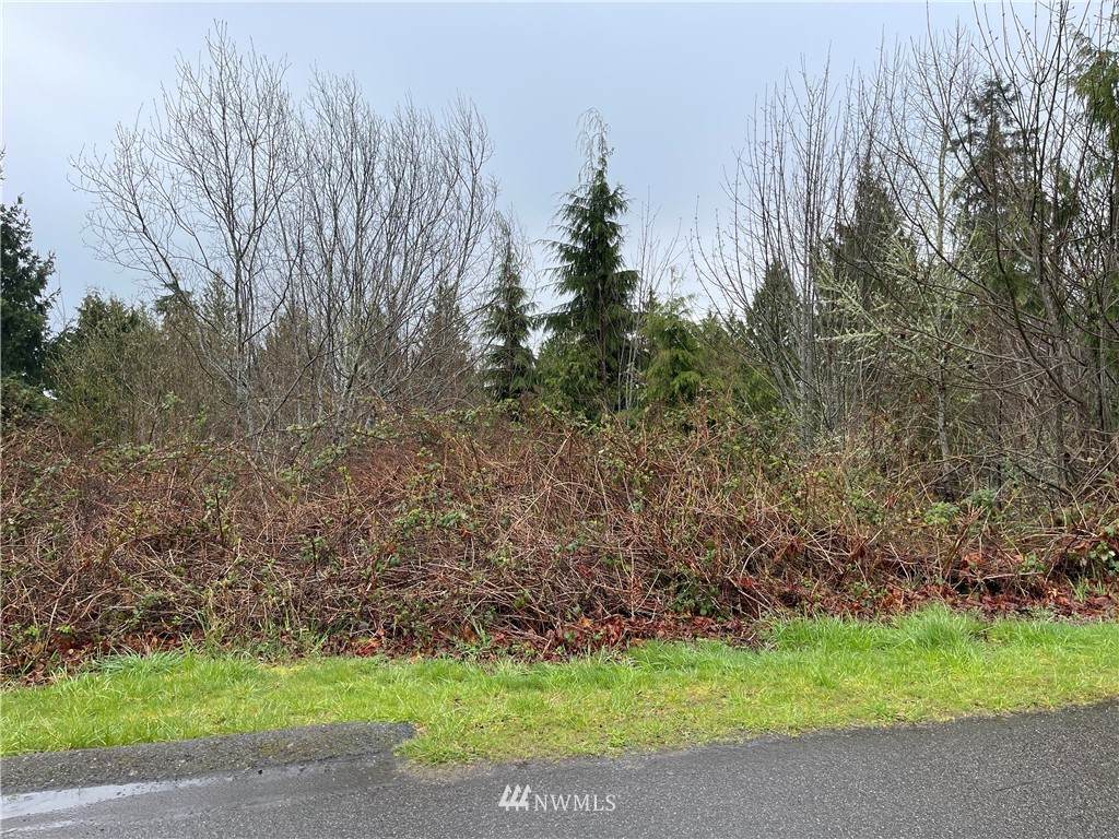 0 Wheeler Lane - Photo 1