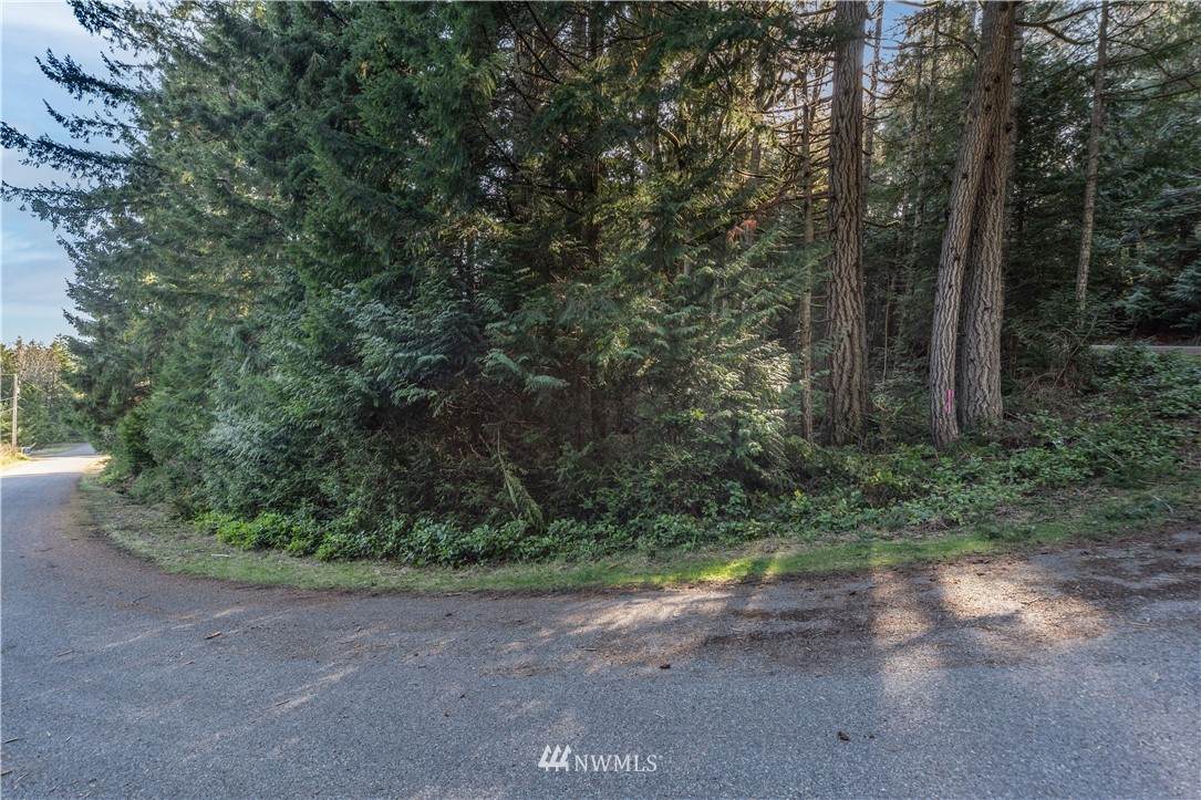 22 E Go Onna Drive - Photo 1