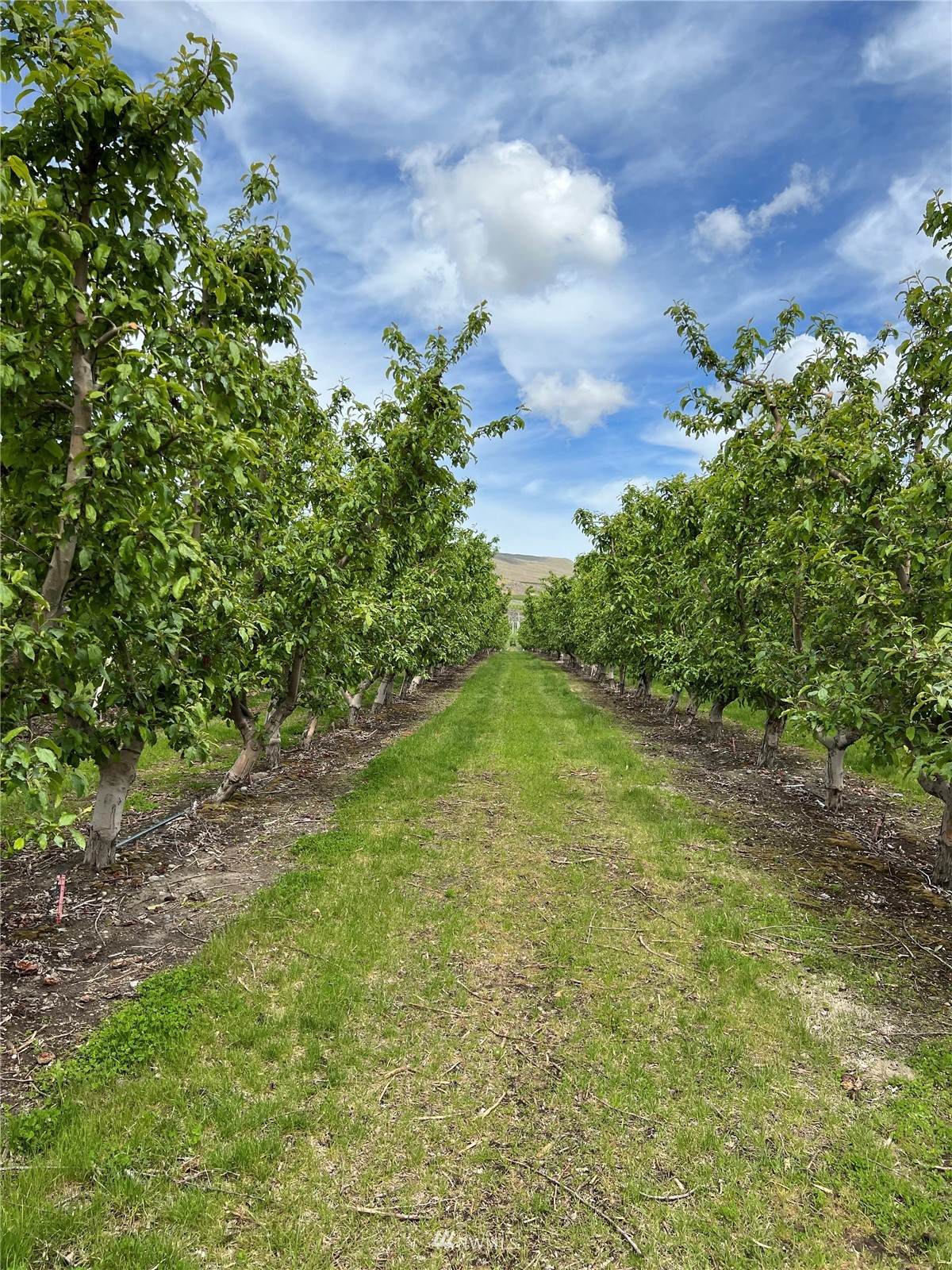 474 Jack Wells Road - Photo 1