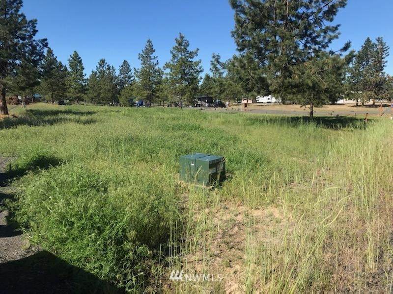 30340 Antler Road - Photo 1