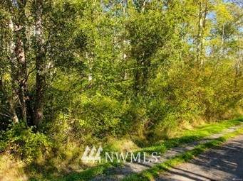 0 Bayshore Lot 45 Drive - Photo 1