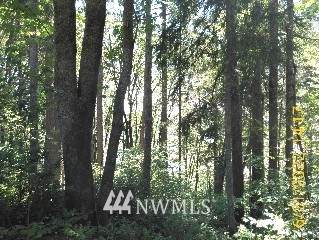 501 Hazel Street - Photo 1