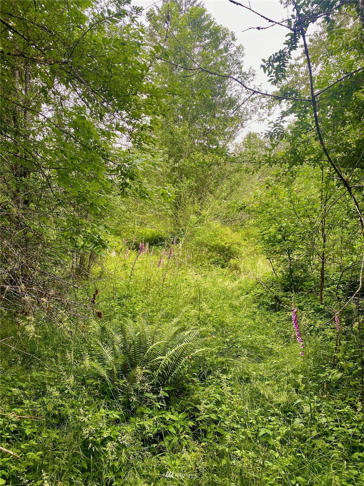 0 Cloquallum Road - Photo 1