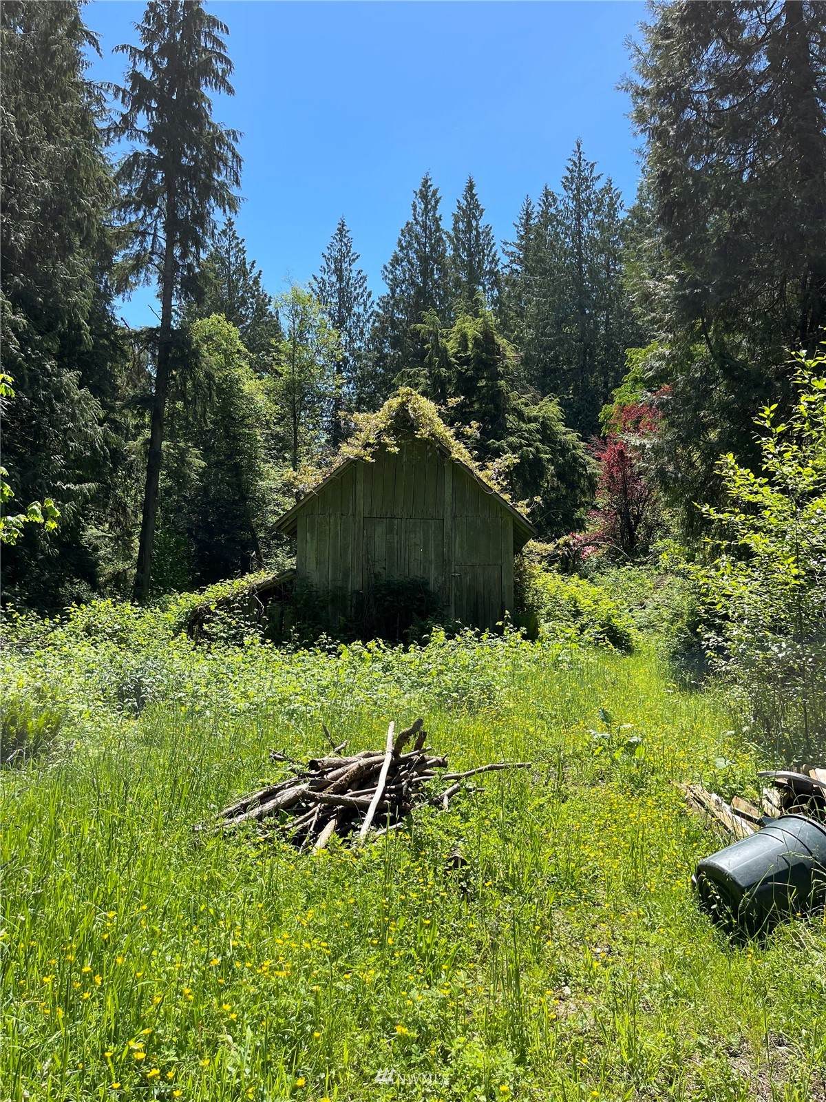 9005 Woods Creek Road - Photo 1