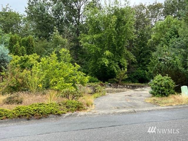 17222 119th Avenue - Photo 1