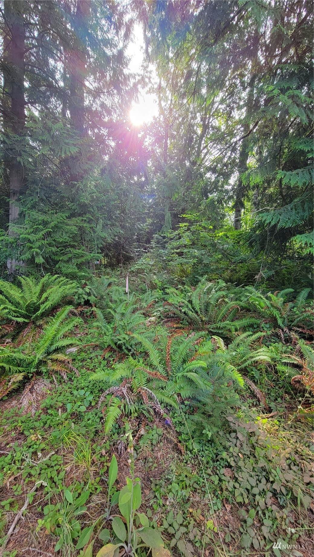 2075 Baby Doll Road - Photo 1