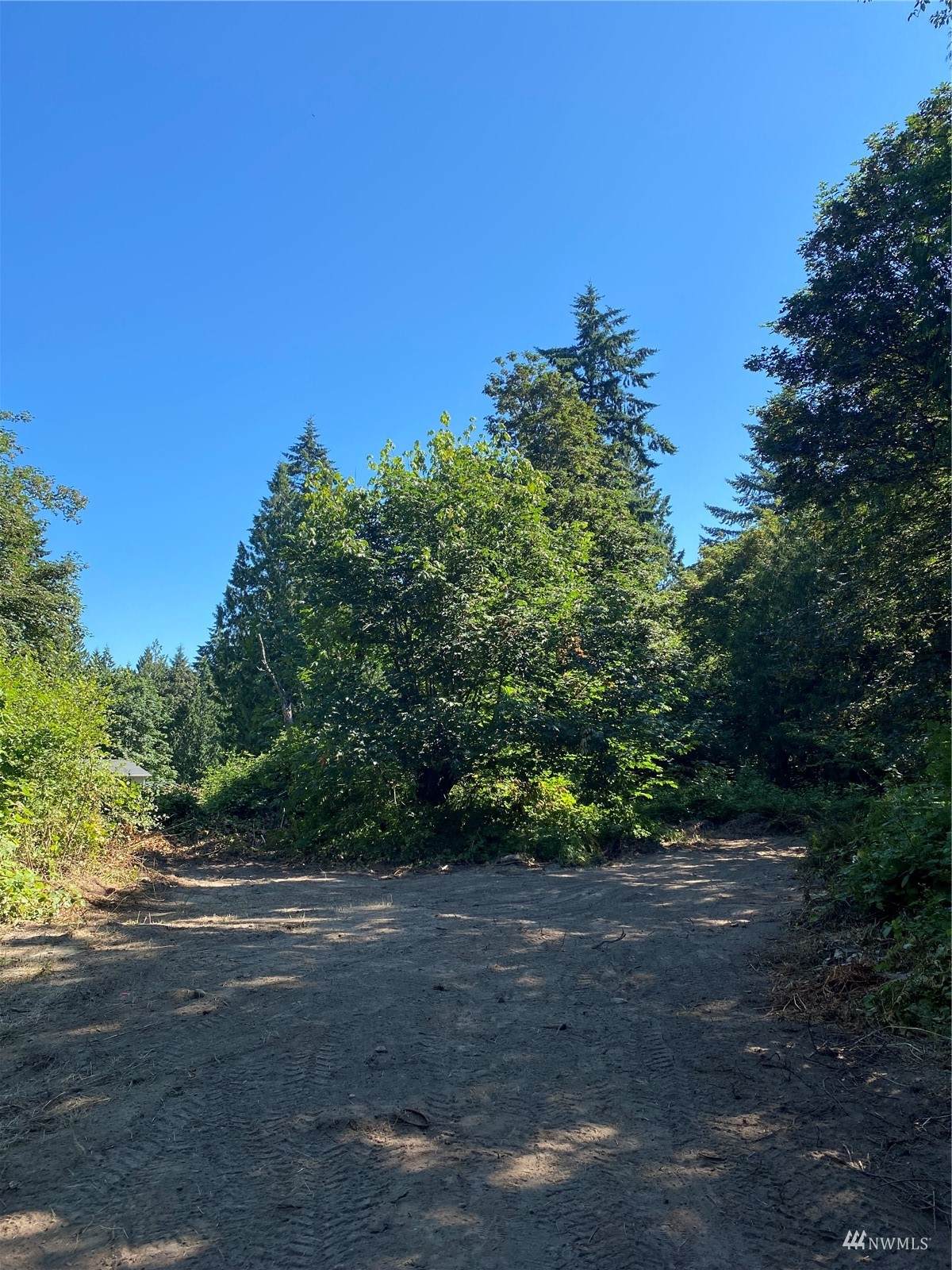 18803 33rd Street - Photo 1