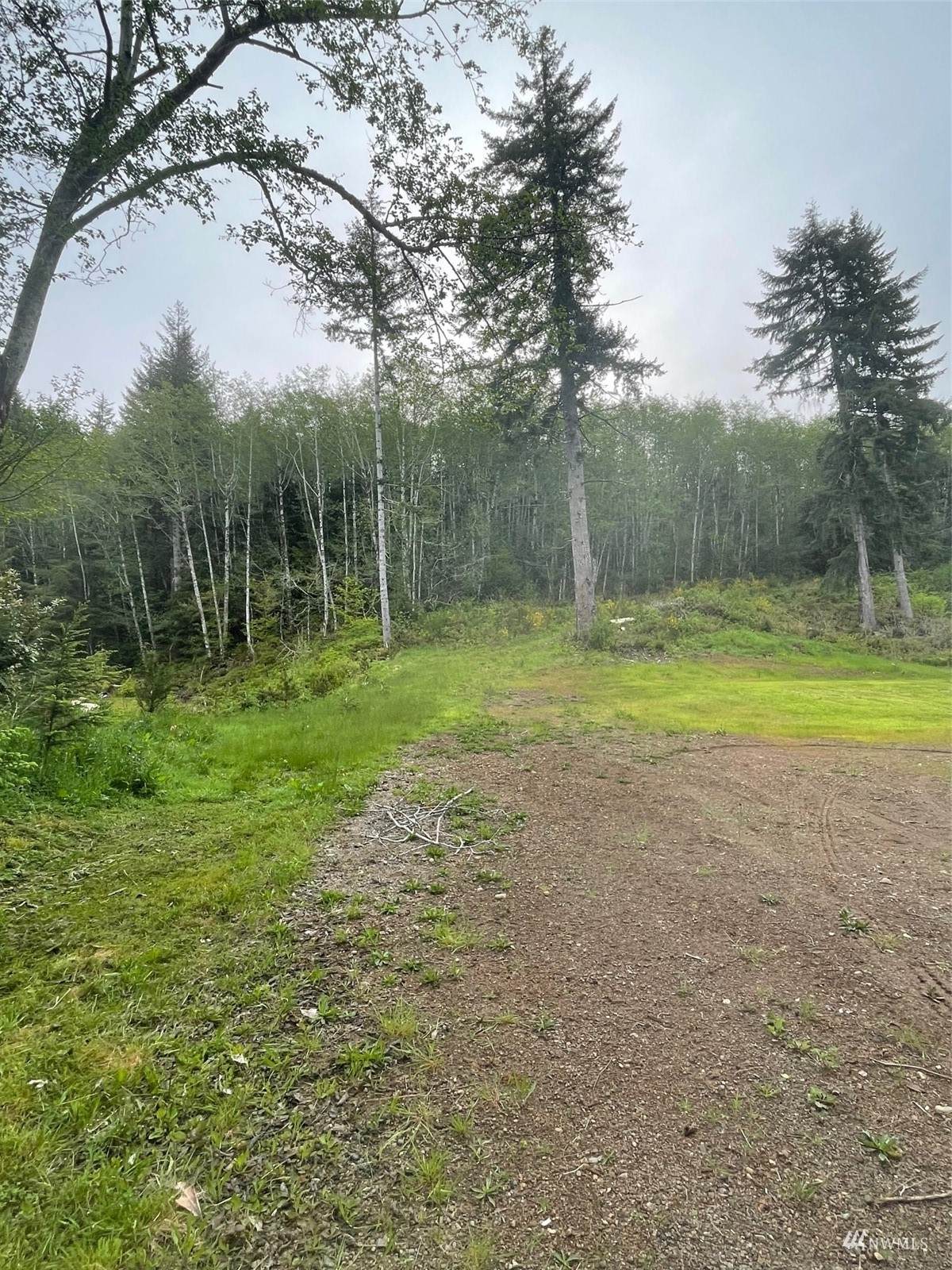 999 Grouse Glen Way - Photo 1